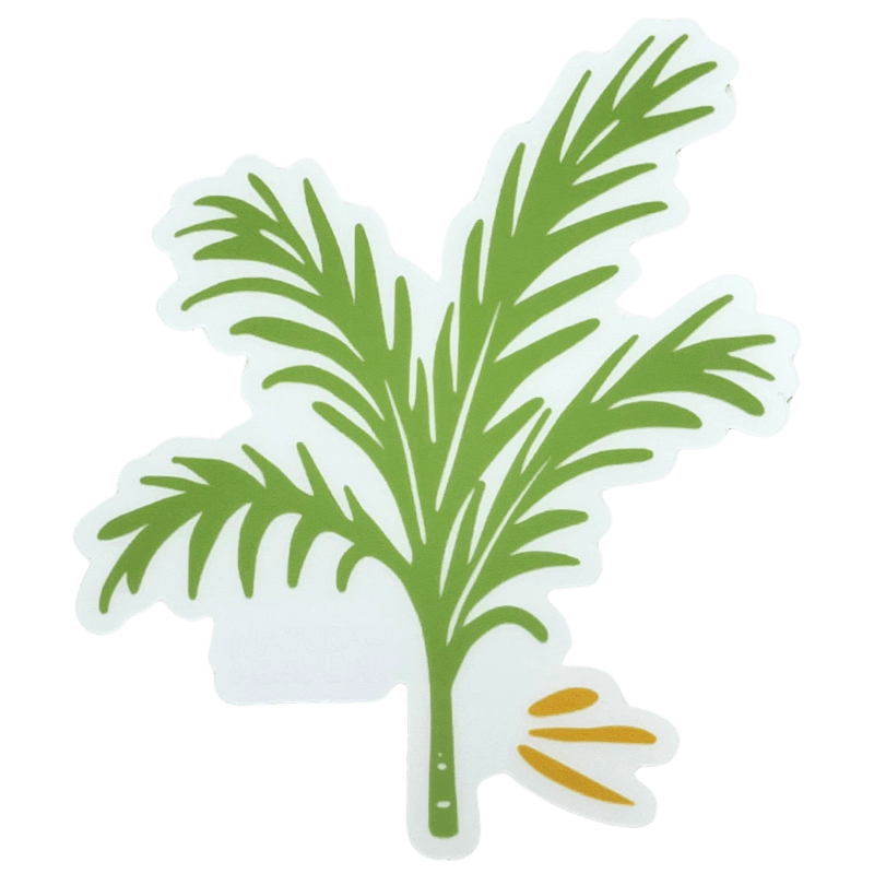 Green Palm Sticker